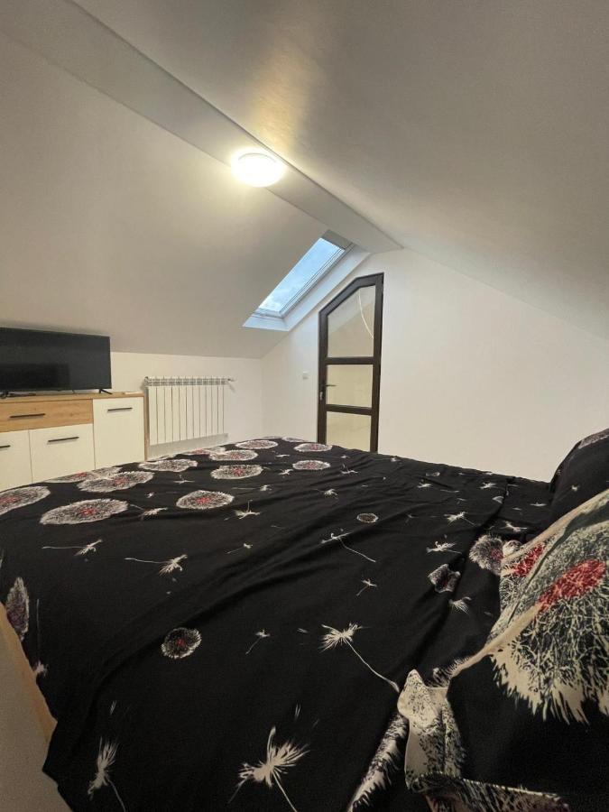 Apartament Casa Dan Buzău Zewnętrze zdjęcie